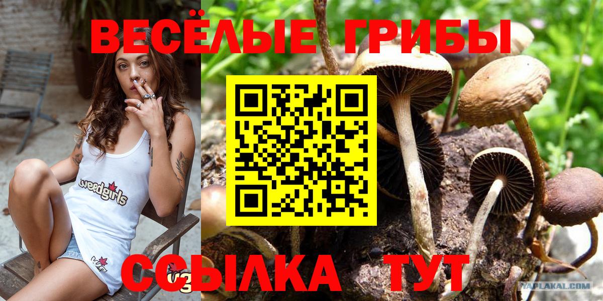 Качканар  Галлюциногенные грибы мицелий  Вход с VPN  Галлюциногенные грибы Magic Shrooms 