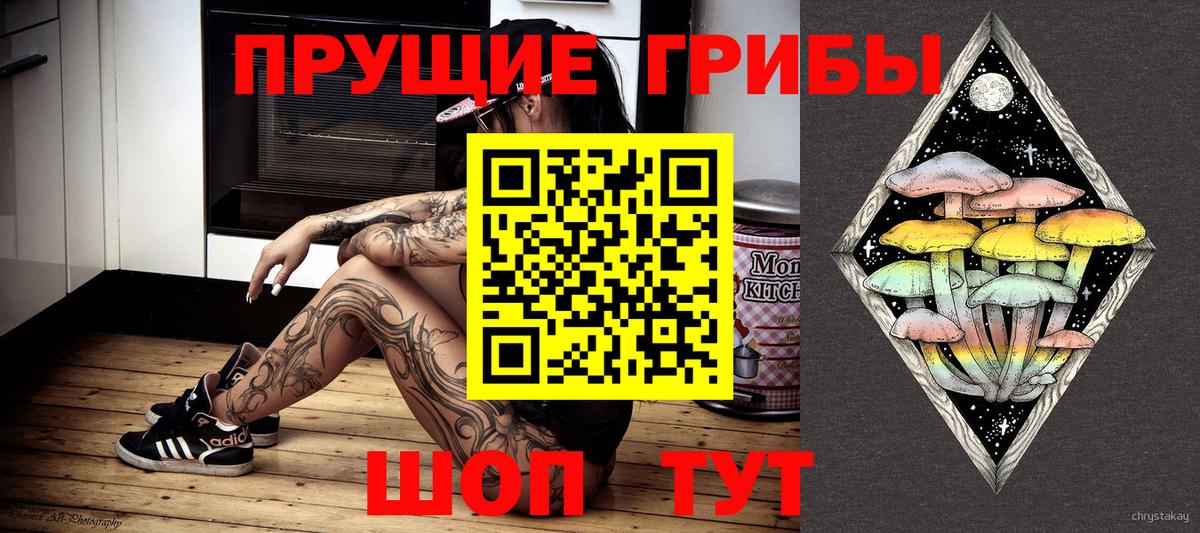 Галлюциногенные грибы Psilocybe Качканар